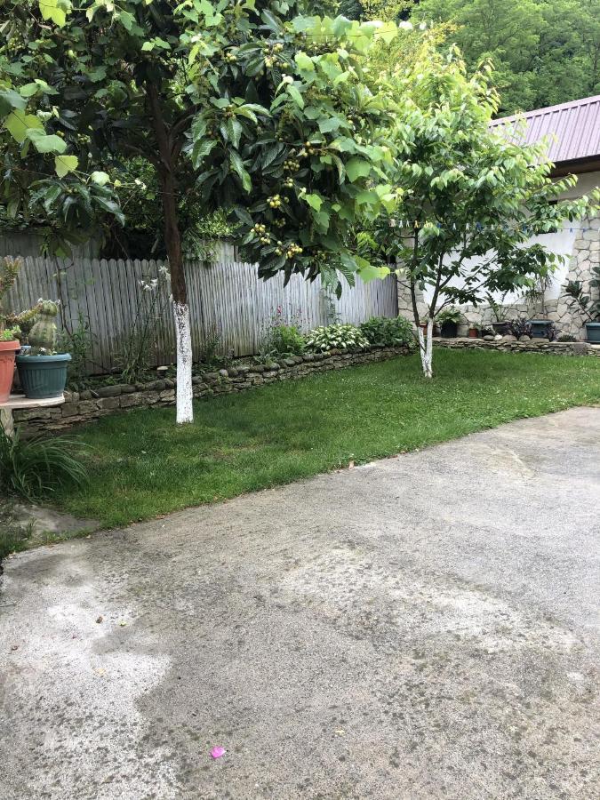 Apsua-Home Suchumi Zewnętrze zdjęcie